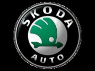 Кузовной ремонт и покраска Шкода(Skoda)